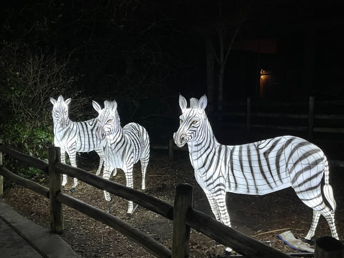 Best Holiday Light Shows Near & Around Birmingham