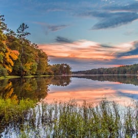 Best Spots in Birmingham to Enjoy the Fall Foliage