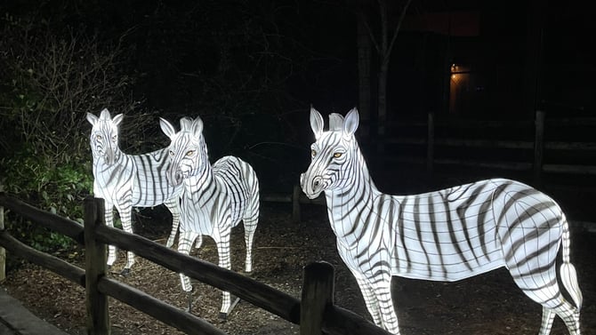 Best Holiday Light Shows Near & Around Birmingham