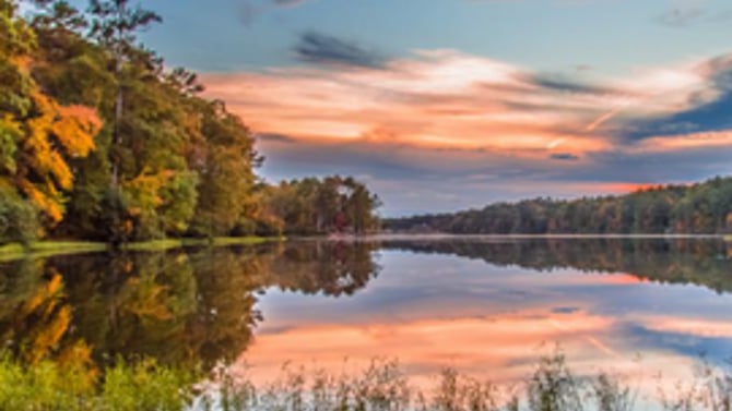 Best Spots in Birmingham to Enjoy the Fall Foliage